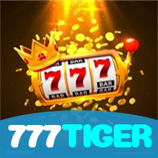 Segurança no 777TIGER